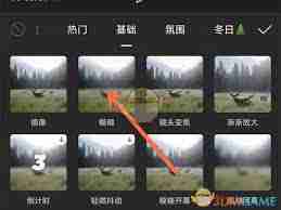剪映怎么虚化视频技巧_掌握剪映虚化视频的方法