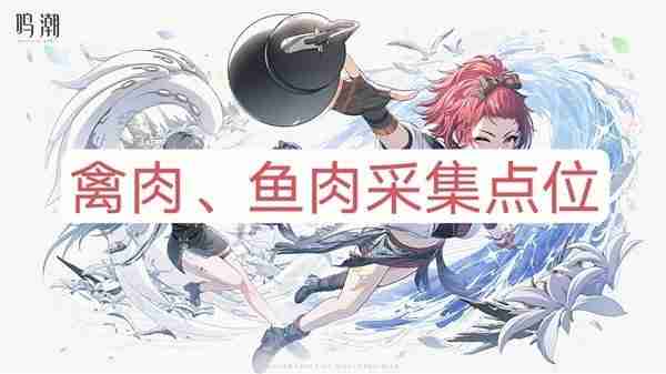 《鸣潮》禽肉与鱼肉高效采集线路详细指南