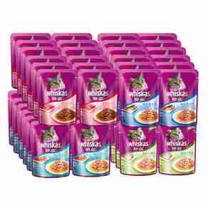 宝路宠物食品哪个型号好?宝路宠物食品热卖产品推荐