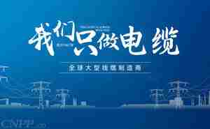 电缆品牌前十有哪些牌子上榜 谁才是名副其实的十大品牌