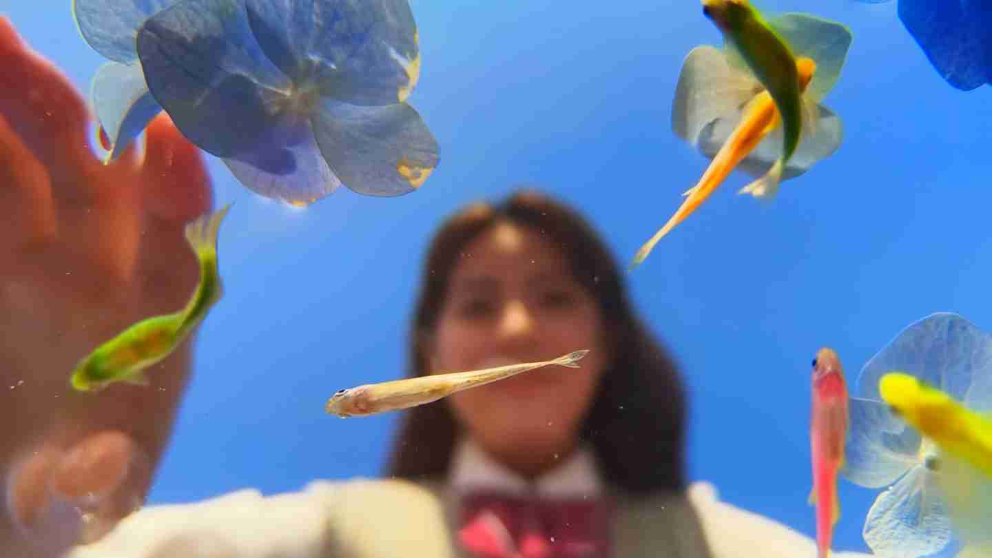 OPPO Reno 13 手机全系支持 IP69 防水,提供水下相机拍摄玩法