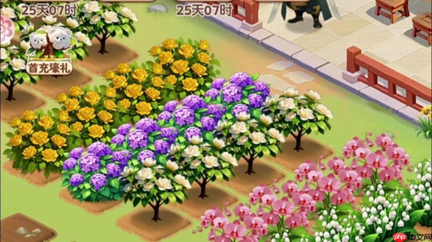 我的花园世界游戏怎样完成每日园艺任务_我的花园世界游戏完成每日任务奖励【攻略】