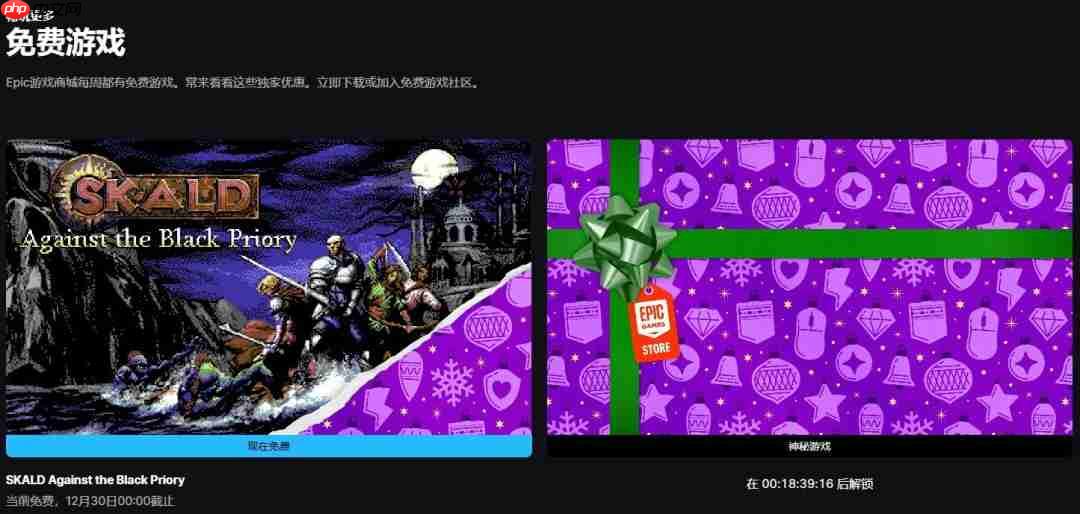 Epic公布第12款免费游戏 《SKALD:攻打黑修院》