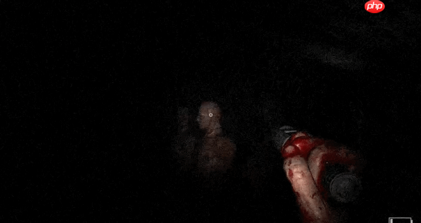 好评心理恐怖系列回归！《不要害怕：精神病院》Steam中文页面上线