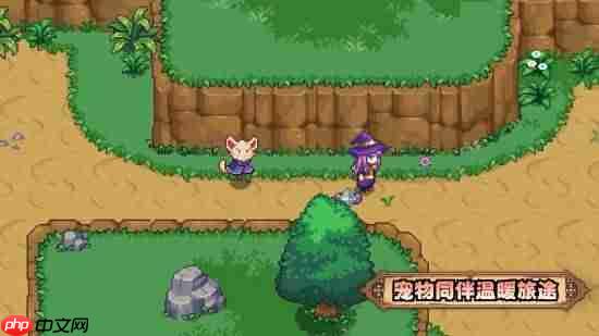 国产ARPG《菲尔纳传说》正式定档1月15日!2人团队历时5年精心打磨