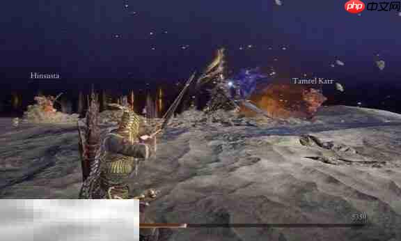 艾尔登法环黑夜降临最终boss战 怎么才能击败黑夜王布德奇冥