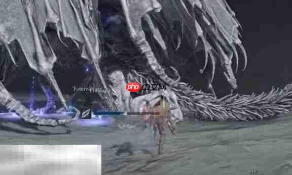 艾尔登法环黑夜君临雾中裂缝战斗指南 黑夜雾霾卡莉果弱点分析