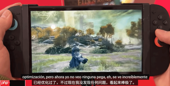 NS2《艾尔登法环》优化可喜!可算能正常玩了