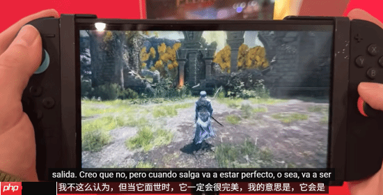 NS2《艾尔登法环》优化可喜!可算能正常玩了