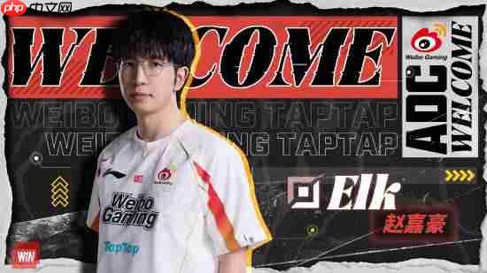 全华班银河战舰集结!《LOL》WBG官宣AD选手Elk加入