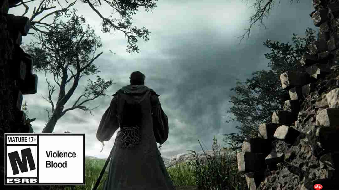 《艾尔登法环:黑夜君临》DLC新职业“学者”预告