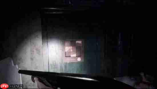 第一人称恐怖新游明日发售!受生化7启发 支持中文