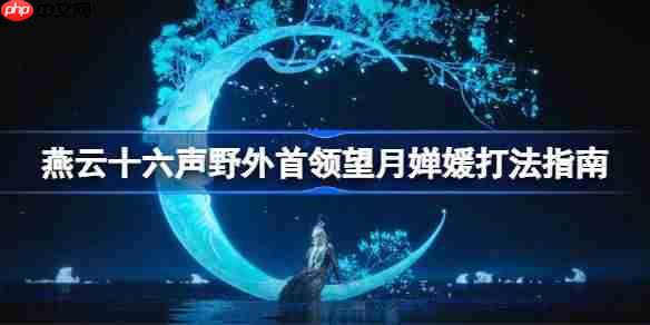 燕云十六声野外首领望月婵媛该怎么打-燕云十六声野外首领望月婵媛打法指南