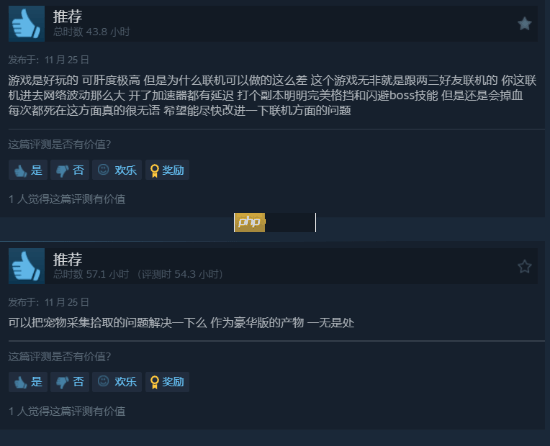 单机游戏强制联网!《我独自升级:起立·觉醒》Steam多半好评