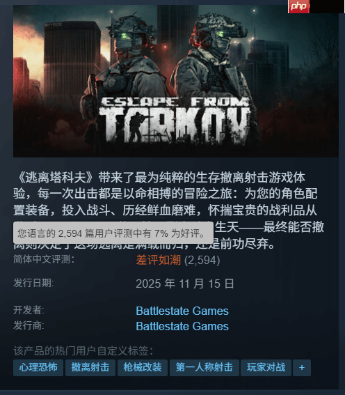 《逃离塔科夫》Steam差评如潮!服务器崩溃玩家失望