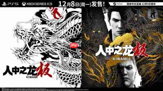 Switch2版《如龙极2》掉帧严重!连30帧都不稳